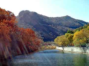 管家婆黑白马报图库，低温容器钢板